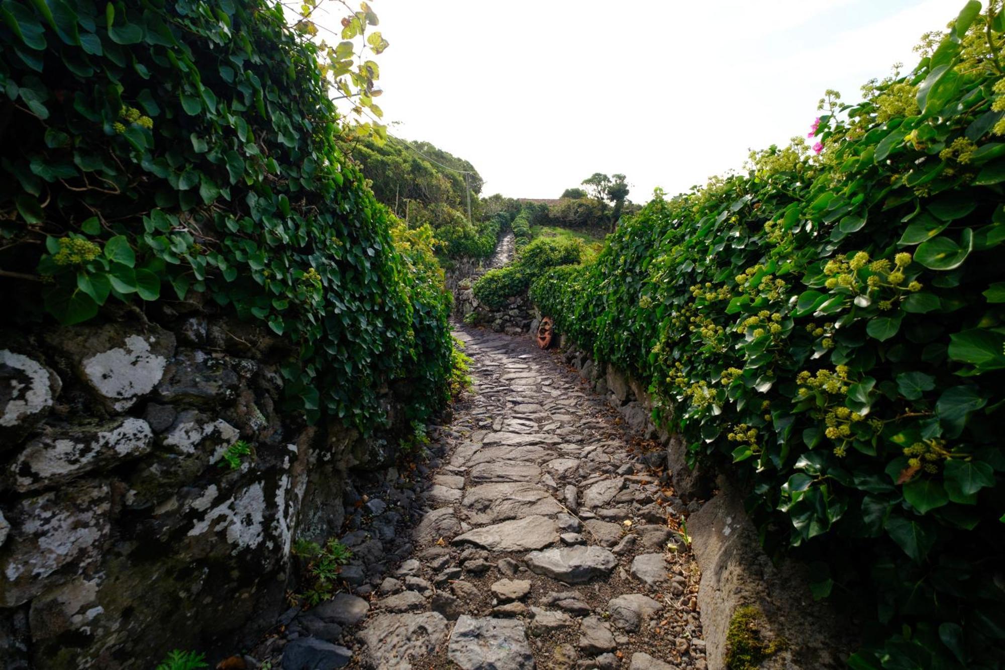 Vila Aldeia Da Cuada Faja Grande Exteriér fotografie